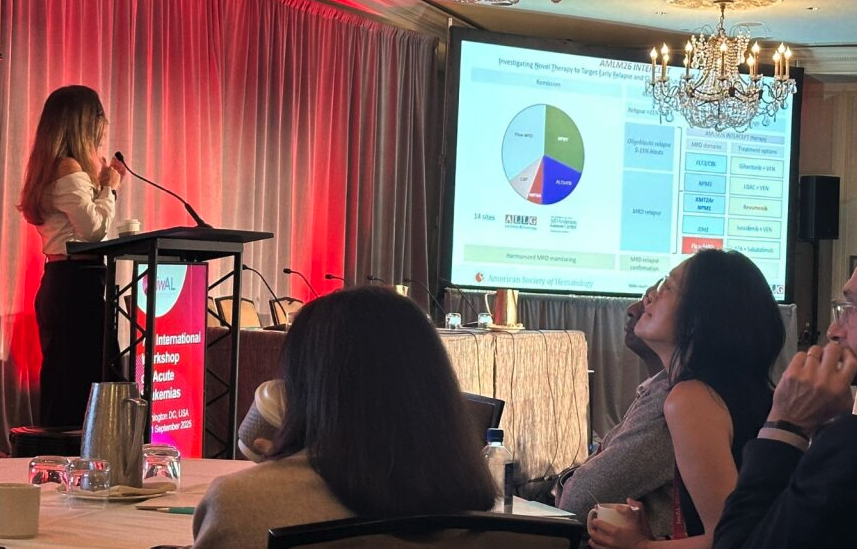 Sanam Loghavi presentation at iwAL 2025